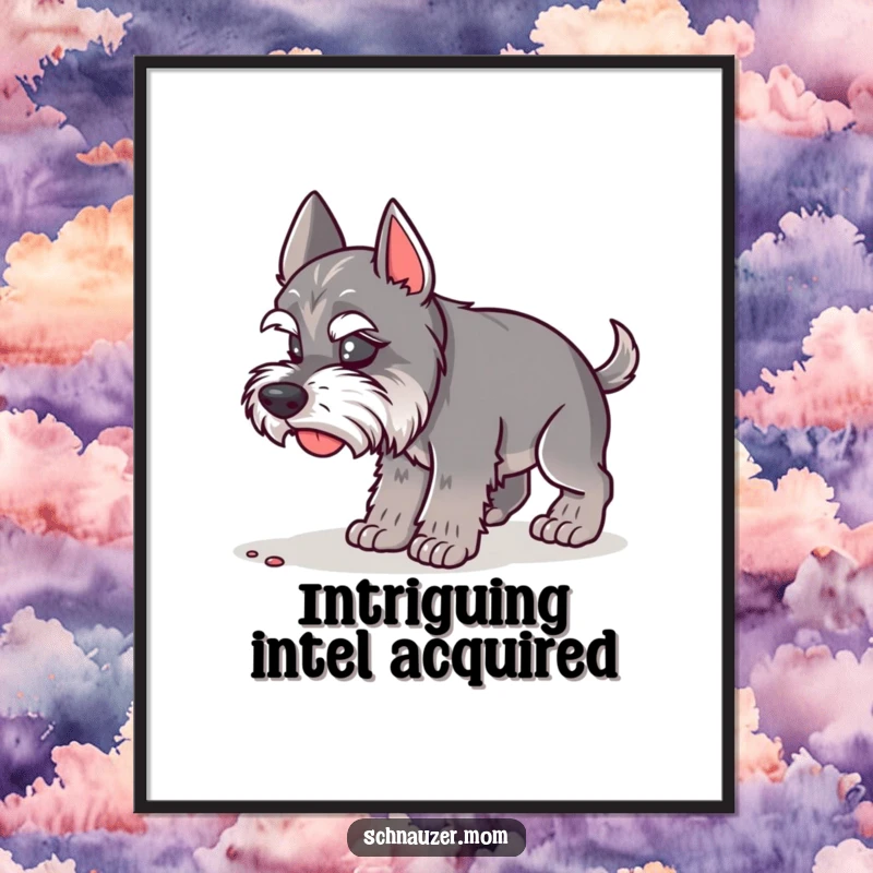 Funny Schnauzer Lady Poster depicting a dog intently sniffing the ground, full of curiosity. A humorous piece, funny gift.