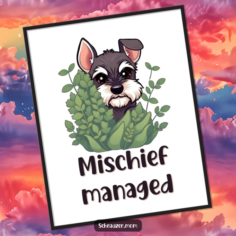 Funny Schnauzer poster art of a dog peeking mysteriously from behind a bush with a distinctly mischievous glint in its eyes.